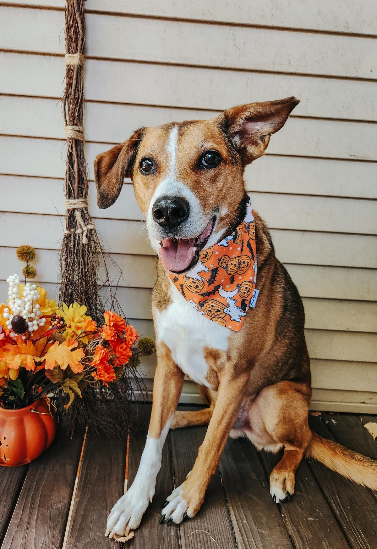 Pet Bandana detail